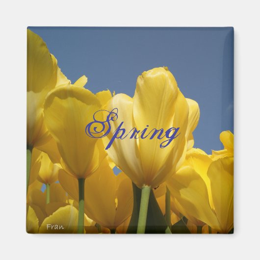 lente magneet (Voorkant)