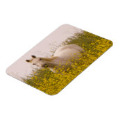 lente magneet (Linkerzijde)