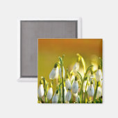 Lente - Magneet (Voorkant / Achterkant)