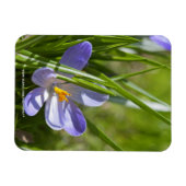 lente magneet (Horizontaal)