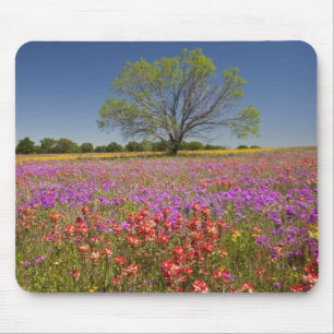 Lente mesquitebomen die in wilde bloemen groeien, muismat