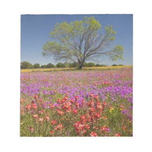 Lente mesquitebomen die in wilde bloemen groeien, notitieblok