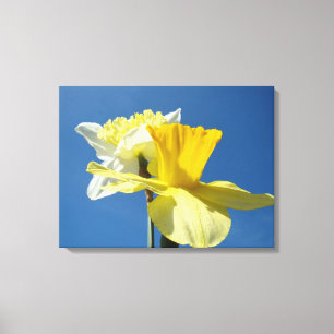 Lente met blauwe lucht canvas kunstprints Narcisse Afdruk