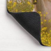 lente muismat (Hoek)