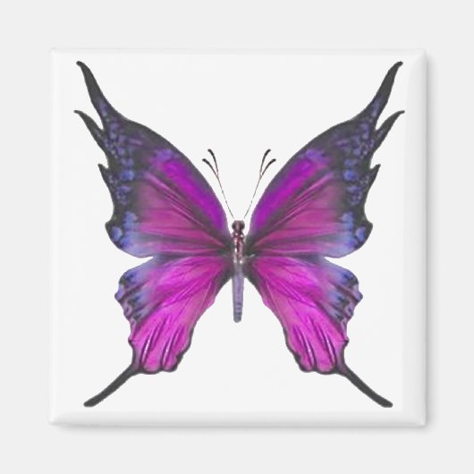 Lente myst 3 magneet (Voorkant)