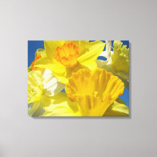 Lente Narcissen Bloemen Canvas afdrukken Natuur