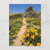 Lente negentig mijl strand, Australië Briefkaart (Voorkant)