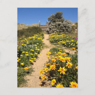 Lente negentig mijl strand, Australië Briefkaart
