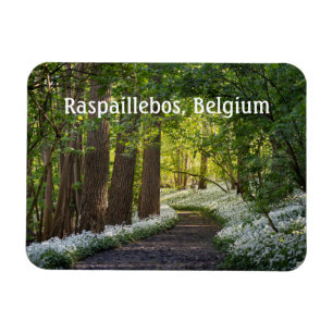 Lente Ochtend in Raspaillebos, België Magneet