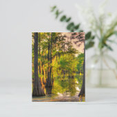 Lente op de Bayou Briefkaart (Staand voorkant)