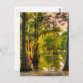 Lente op de Bayou Briefkaart (Voorkant / Achterkant)