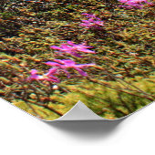 Lente op de Bog Walk Poster (Hoek)