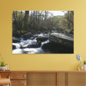 Lente op de kleine duivenrivier canvas afdruk (Insitu (Woonkamer))