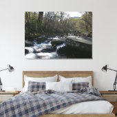 Lente op de kleine duivenrivier canvas afdruk (Insitu (Slaapkamer))