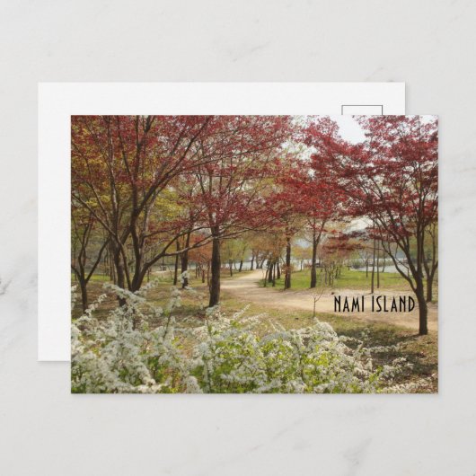 Lente op het Briefkaart van Nami (Voorkant / Achterkant)