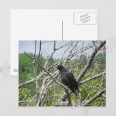 Lente op Maine Briefkaart (Voorkant / Achterkant)