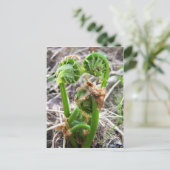 Lente op Maine Briefkaart (Staand voorkant)