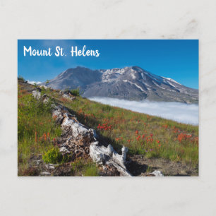 Lente op Mount St. Helens Briefkaart