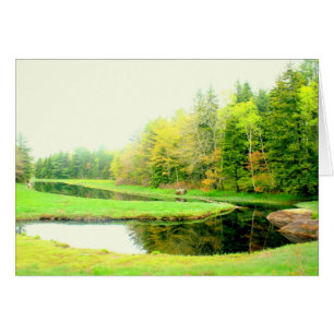 Lente op Otis Cove