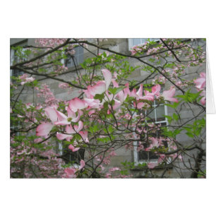 Lente op Swarthmore College