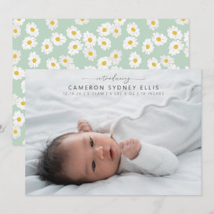 Lente Pastel Salie Groene Madeliefjes Baby Foto Ge Aankondiging