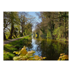 lente perfect poster