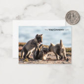 Lente - poolvos notitiekaartje (Voorkant / Achterkant in situ)