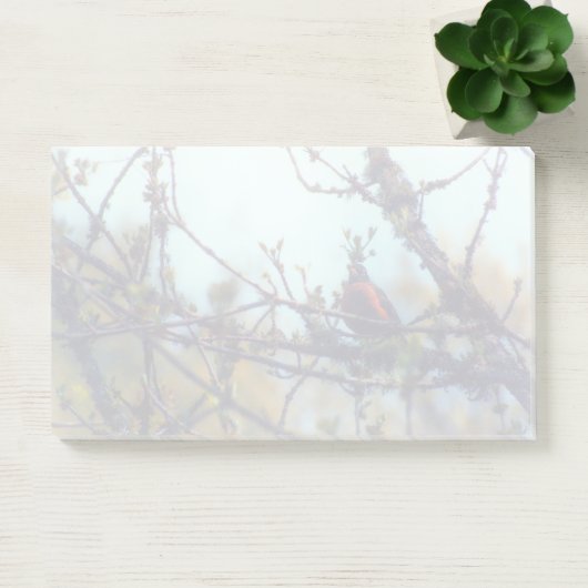 lente post-it® notes (Kantoor)