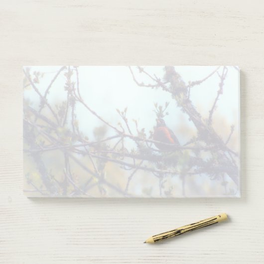 lente post-it® notes (Op bureau)