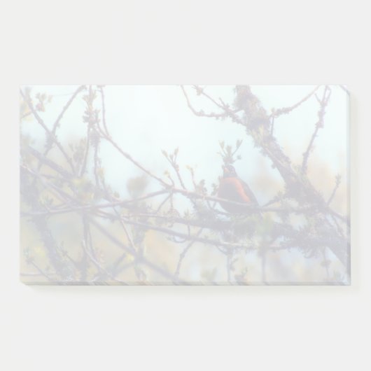 lente post-it® notes (Voorkant)