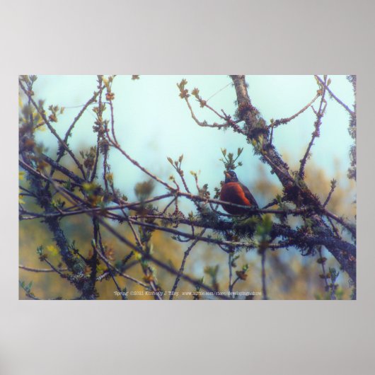 lente poster (Voorkant)