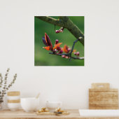 Lente Poster (Keuken)