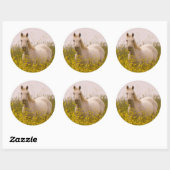 lente ronde sticker (Vel)