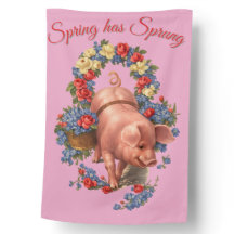 Lente Roos