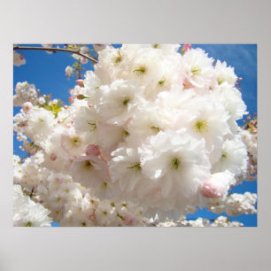 Lente Roze Boom Bloesem Fijne Kunst Prints Bloemst