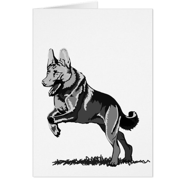 Lente Schäferhond (Voorkant)