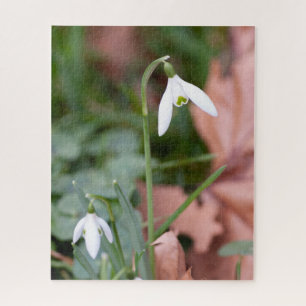 Lente Sneeuwklokjes Fotografie Legpuzzel