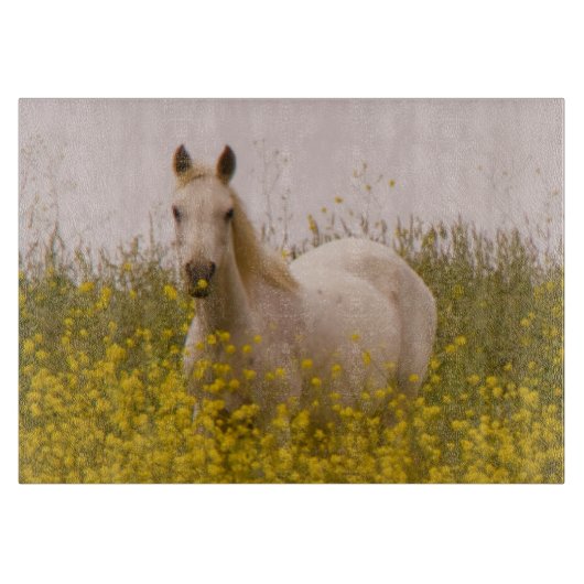 lente snijplank (Voorkant)