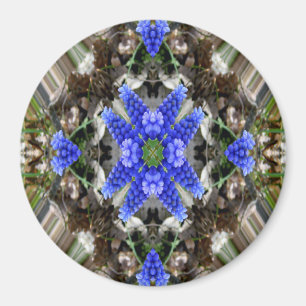 Lente ster... magneet
