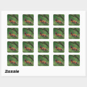 Lente Sticker (Vel)