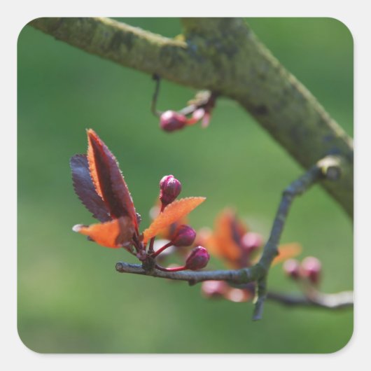 Lente Sticker (Voorkant)