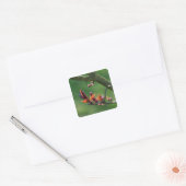 Lente Sticker (Envelop)