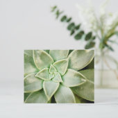 Lente Succulent Briefkaart (Staand voorkant)
