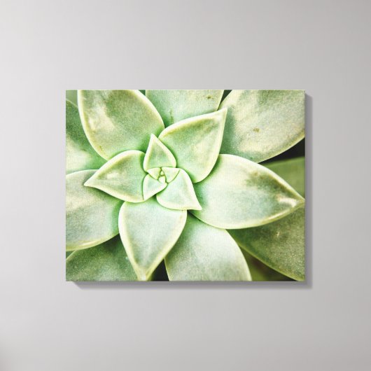 Lente Succulent Canvas Afdruk (Voorkant)