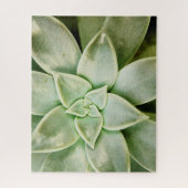 Lente Succulent Legpuzzel (Verticaal)