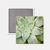 Lente Succulent Magneet (Voorkant / Achterkant)
