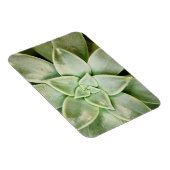 Lente Succulent Magneet (Rechterzijde)