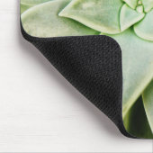 Lente Succulent Muismat (Hoek)