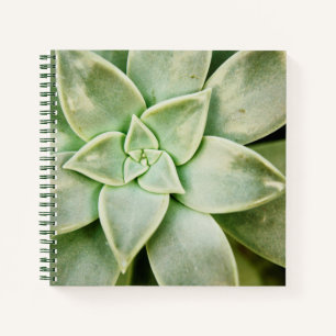 Lente Succulent Notitieboek