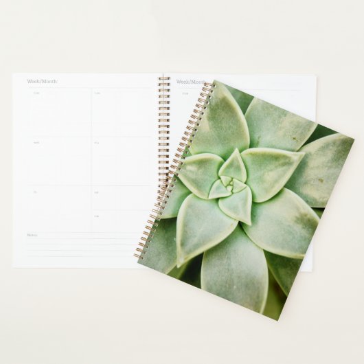 Lente Succulent Planner (Display)